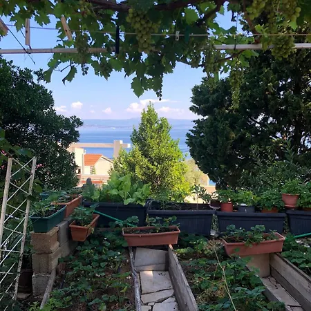 With Beautifull View Peace And Quiet *